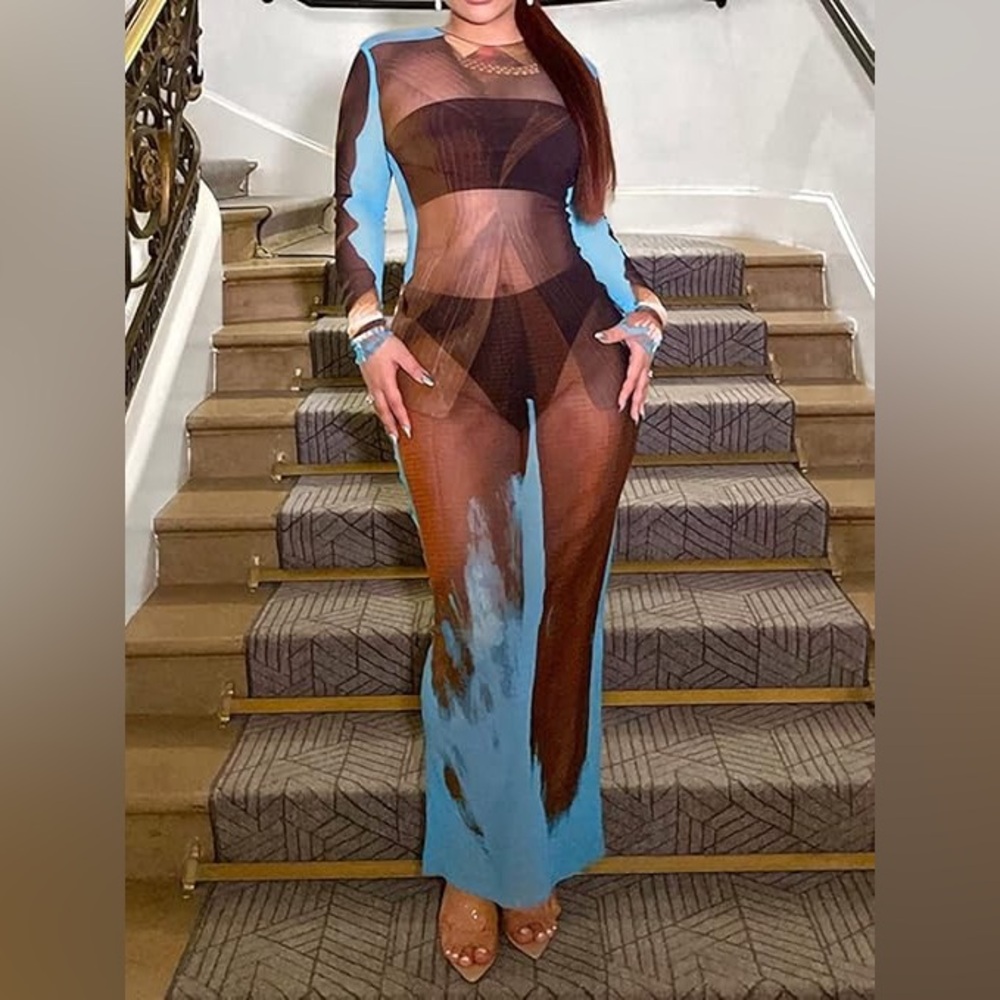 Sheer Two-Tone Mesh Wide-Leg Jumpsuit in Brown and Blue